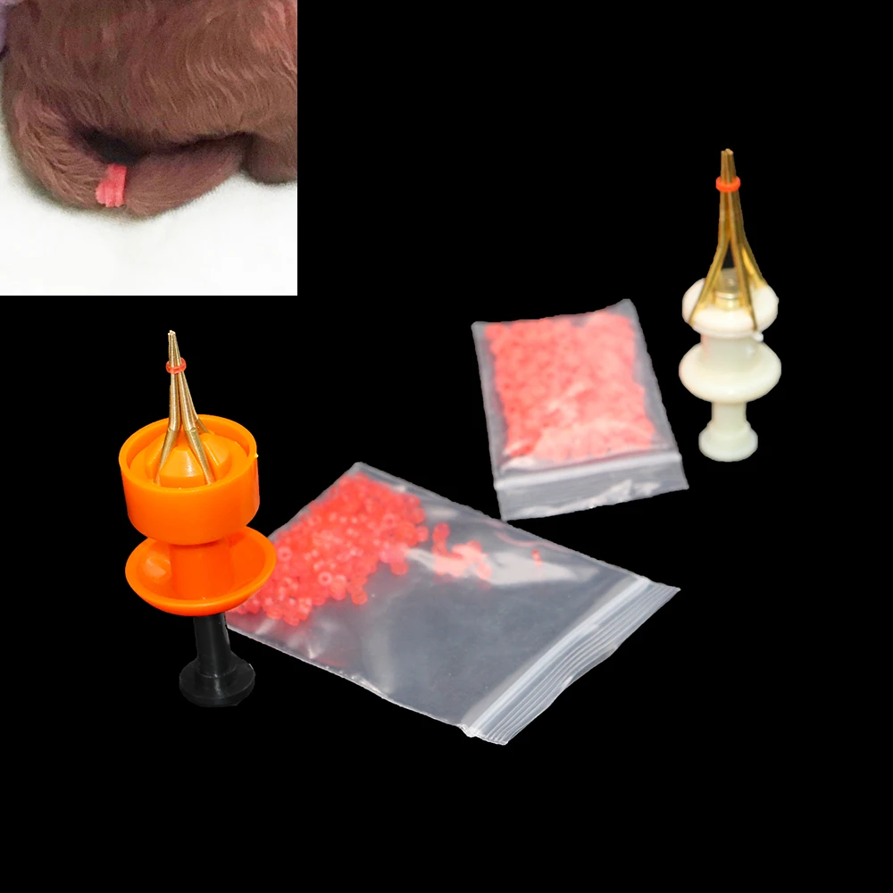Uds para cola de acoplamiento de Clip pinza sin sangre anillo de goma perro Cocker Spaniel Welmaraner Dobermann cachorro herramienta clínica