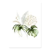Floral C-3