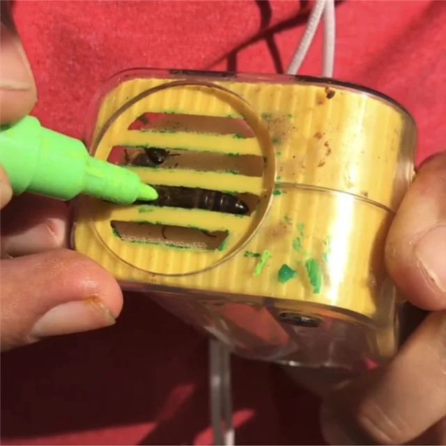 1Db Méhkirálynő Jelölő Palack Dugattyú Plüss Ketrec Műanyag - Image 4