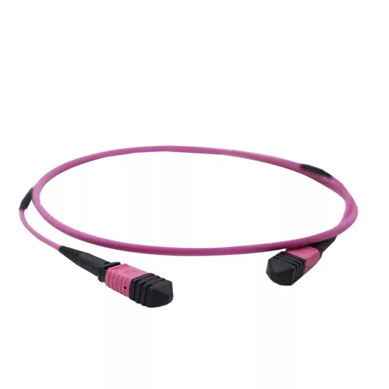 Fiber Patch Cord  (11)