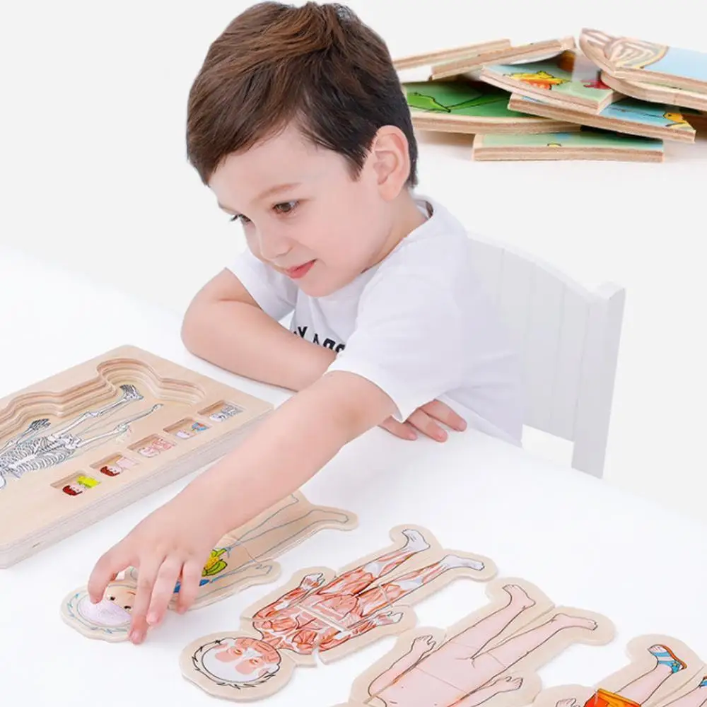 

Wooden Kids Puzzle Toys Human Body Structure Multilayer Bricks Toy Child Early Educational Intelligent Learning Cognition Toy