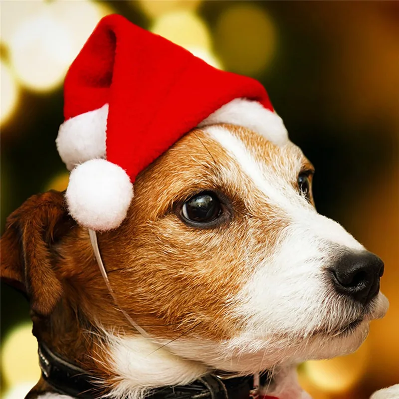 Рождественская маленькая плюшевая шапка Санты для домашних животных, собак, кошек, шапка, Новогоднее украшение, головной убор, аксессуары для костюмов домашних животных
