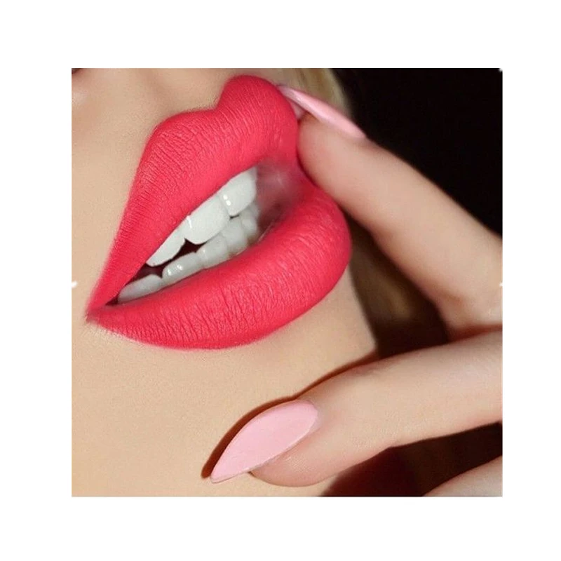 1Pcs Big Promotion Lip gloss Matte Waterproof Velvet Lip Stick 18 Colors Sexy Dark Red Pigments Makeup Matte Lip gloss MU2