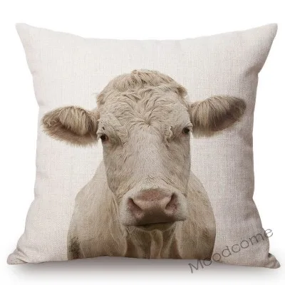 conew_t215 (21) 副本