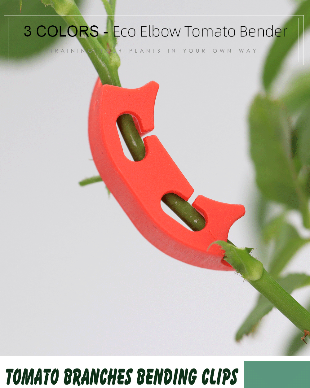100 Clip Per Piante Rampicanti – Supporti Da Giardino Riutilizzabili In PP, Per Pomodori, Viti E Verdure, Fissaggio Facile Per Tralicci