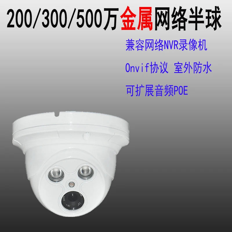 

Rainproof Hemisphere Audio POE Network Surveillance Camera Onvif Support NVR Built-in Audio