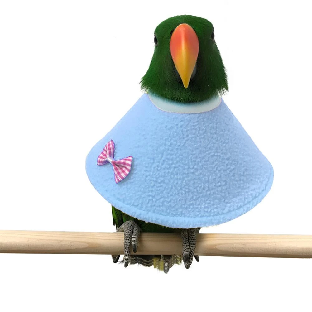 Bird elizabethan collar Clearance
