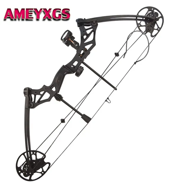  US $194.91 Compound Arch Adjustable Right Hand Hunting Bows Adult Compound Outdoor Sports 