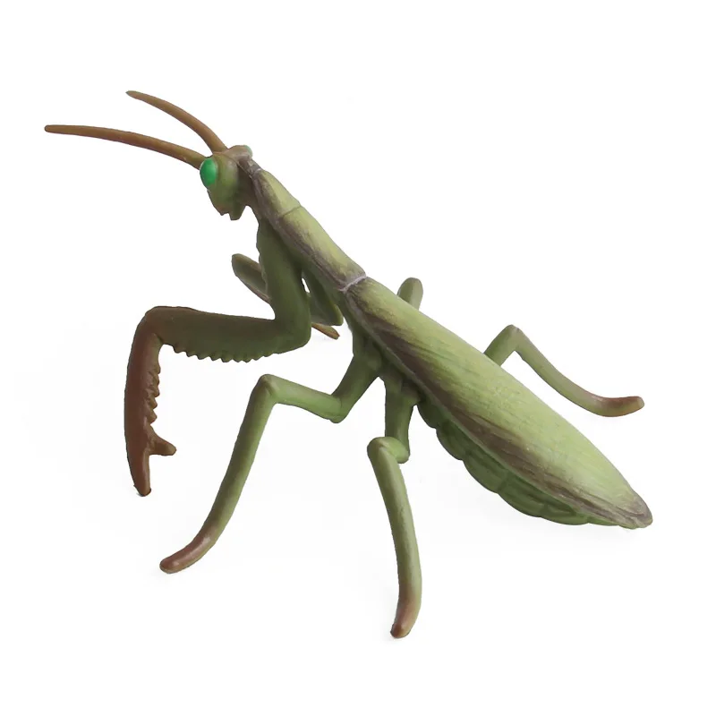 

Cross Border Hot Selling Model Insect Animal Ornaments Mantis Prayer Worm PVC Plastic Science And Animal Model Toy