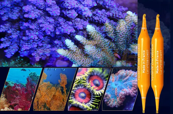 Prodibio Reef Booster питательная добавка для аквариума морской риф танк кораллы