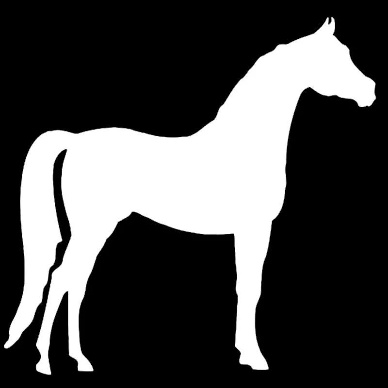 

Arabian Horse Graphic Car Sticker for Truck Window Door Laptop Tractor Vinyl Decal Standing Tall Animal Cartoon Images Handsome