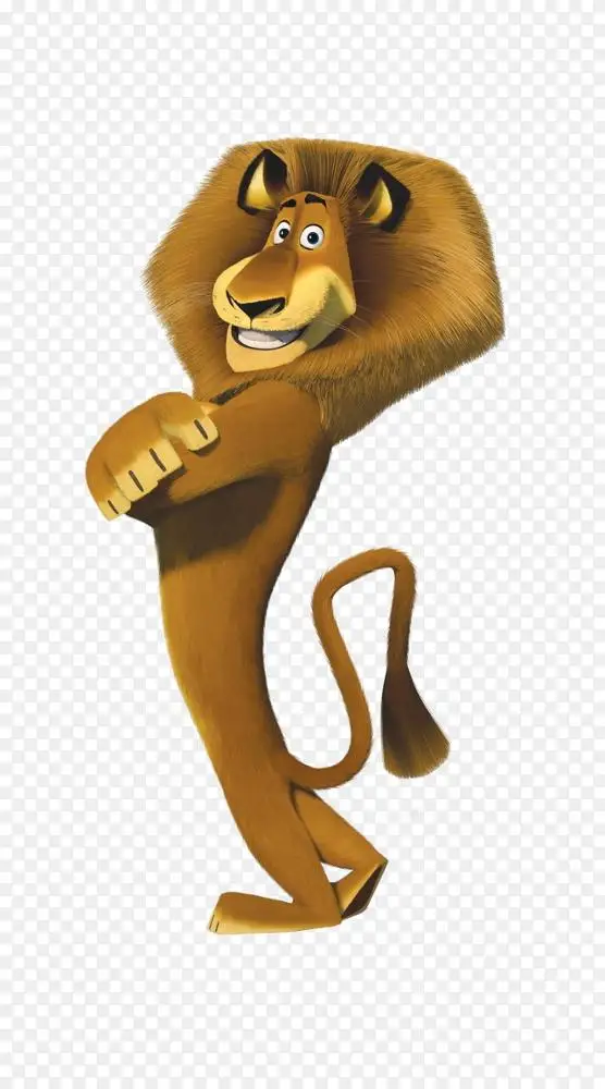 马达加斯加-马达加斯加