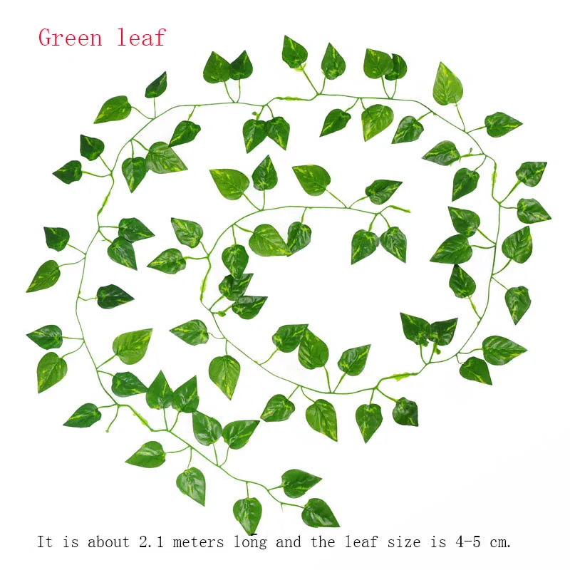 4272585953_1023033891