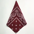 Burgundy Bandana