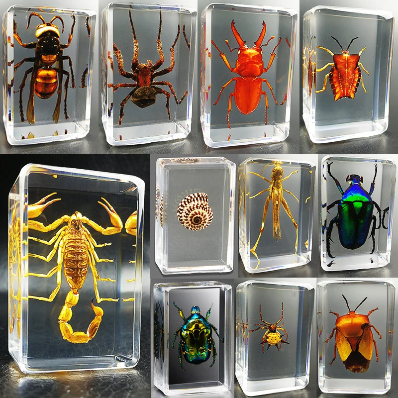 mini cow figurines New real insect specimen transparent resin spider autumn beetle scorpion wasp miniature owl figurines