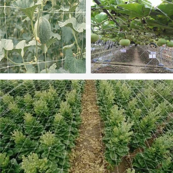 

Mesh Polyester Net Loofah Netting For Morning Glory Vine Flowers Garden Plants Climbing Net Cucumber Vine Grow Holder