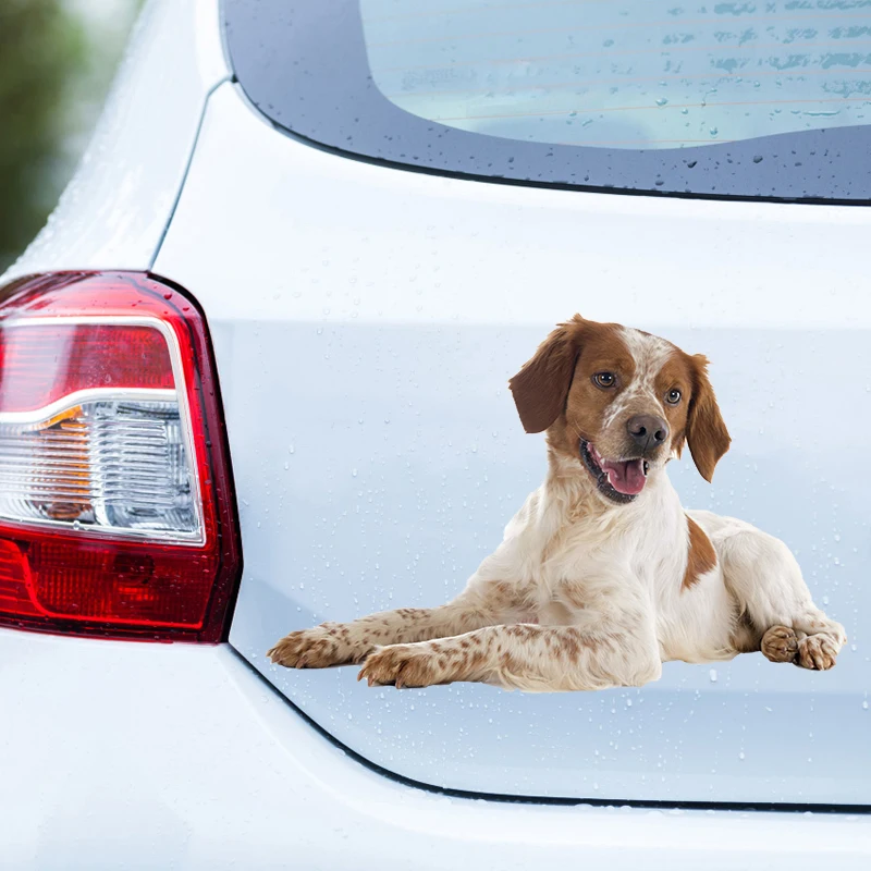 

S60051# Brittany Dog Self-adhesive Decal Car Sticker Waterproof Auto Decors on Bumper Rear Window Laptop Choose Size