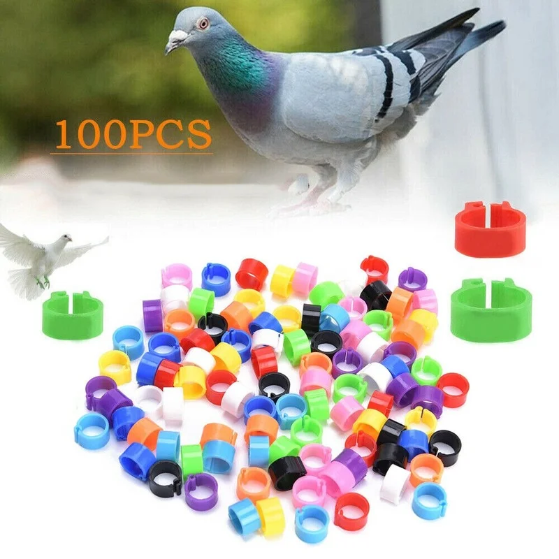 

Pigeons Rings 8mm Bayonet Identification Ring Opening Pigeon Ring Color Pigeon Foot Ring Pigeon Supplies Bird Appliances 100 Pcs