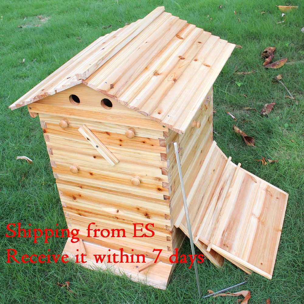 

Automatic Wooden Beehive House 7p Beehive Frame Bee Hive Wooden Bees and Beekeeping Equipment Hive Beehive Supply Beekeeper Tool