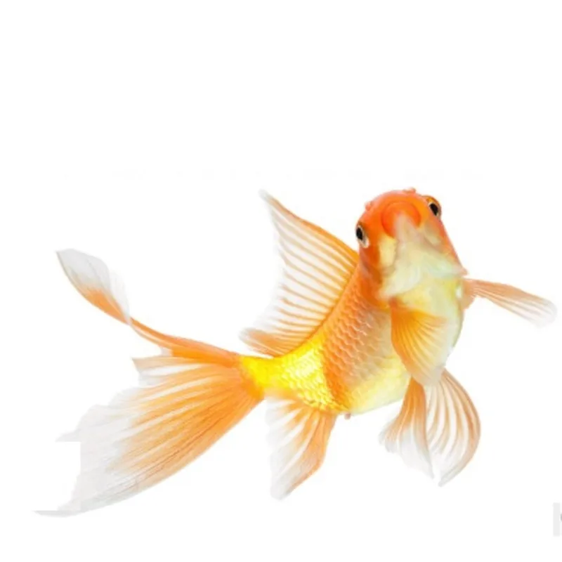 搜狗截图19年09月25日2134_6