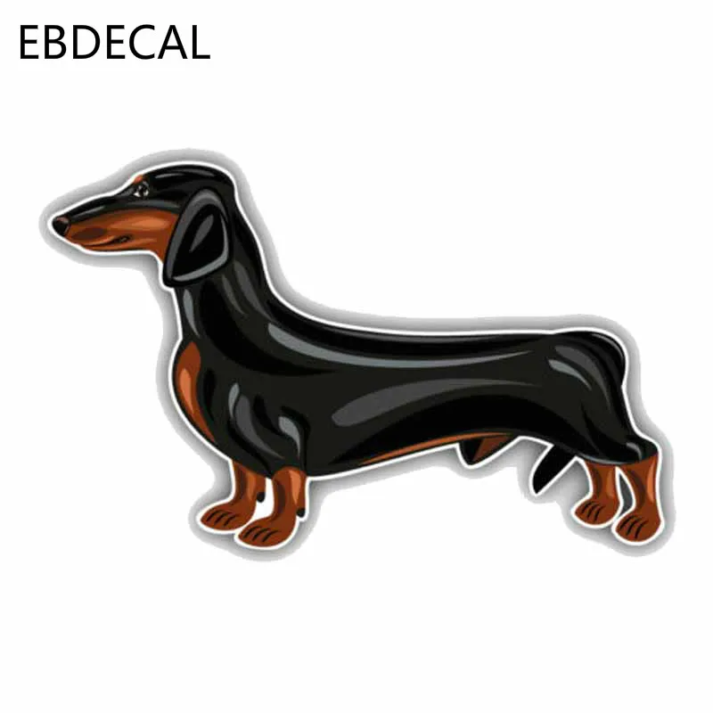 Ebdeckle такса порода собака творческий животное домашнее для