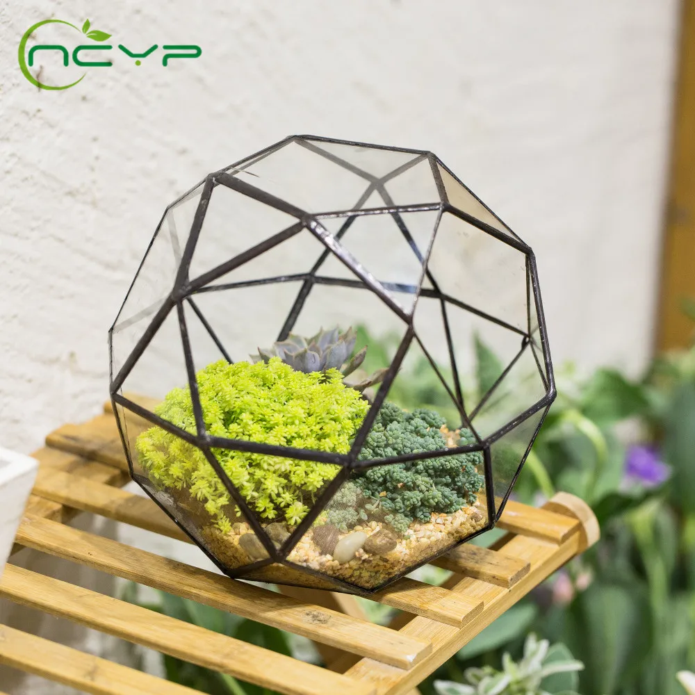 ncyp-pot-de-fleur-en-verre-moderne-jardiniere-artistique-creative-terrarium-geometrique-jardiniere-de-mousse-de-fougere-succulente-plante-de-bonsai