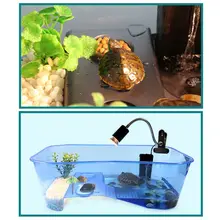 vivarium accessories for sale