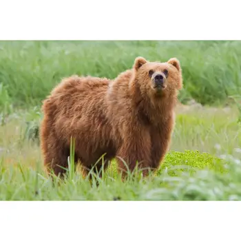 

test5