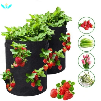 

Strawberry Plant Bag Grow Bag with Handles 8 Side Growing Bags Durable Breathable Bags for Strawberries 10 Gallon HTML