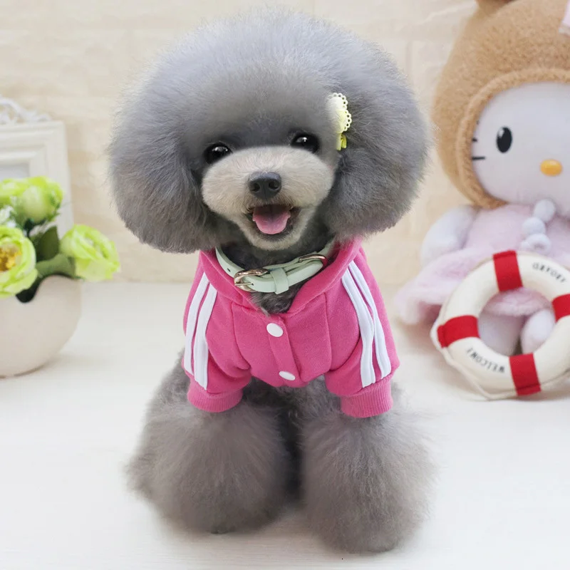 3884138965_277183843