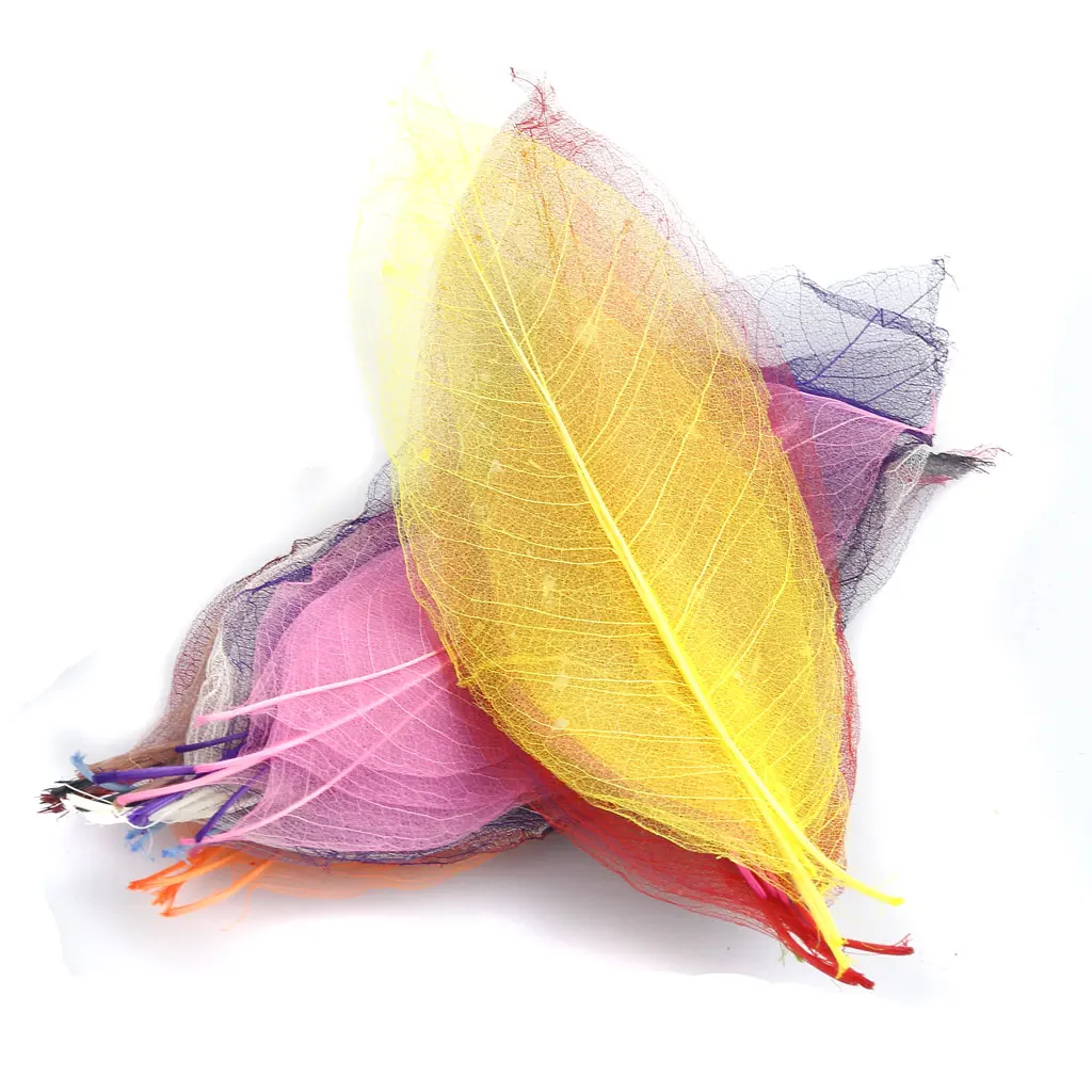 50pcs Natural SKELETON LEAVES Colored SCRAPBOOK Craft Embellishment Bookmark
