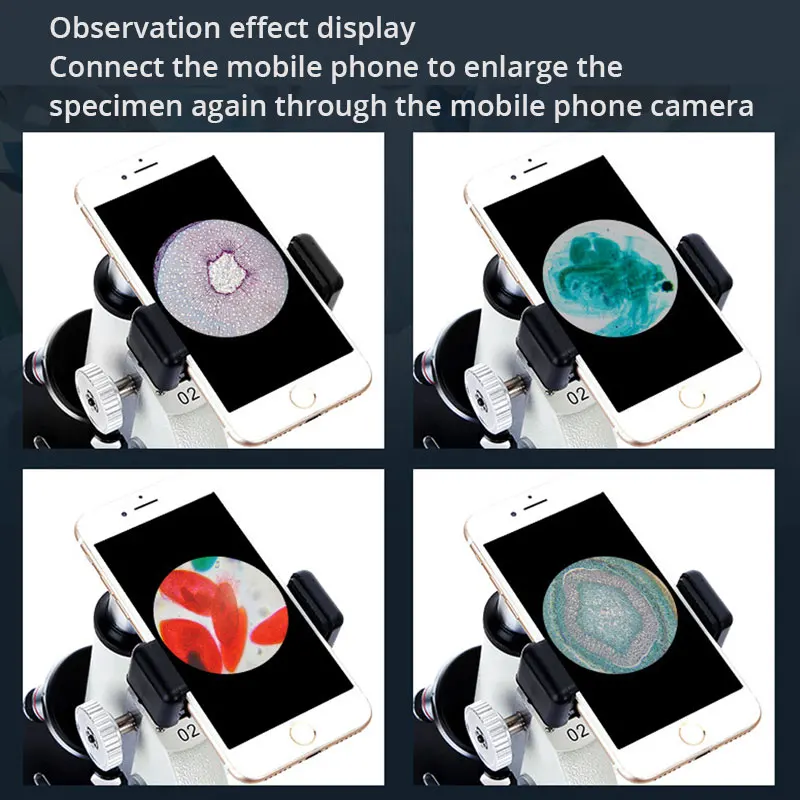 microscopios 03