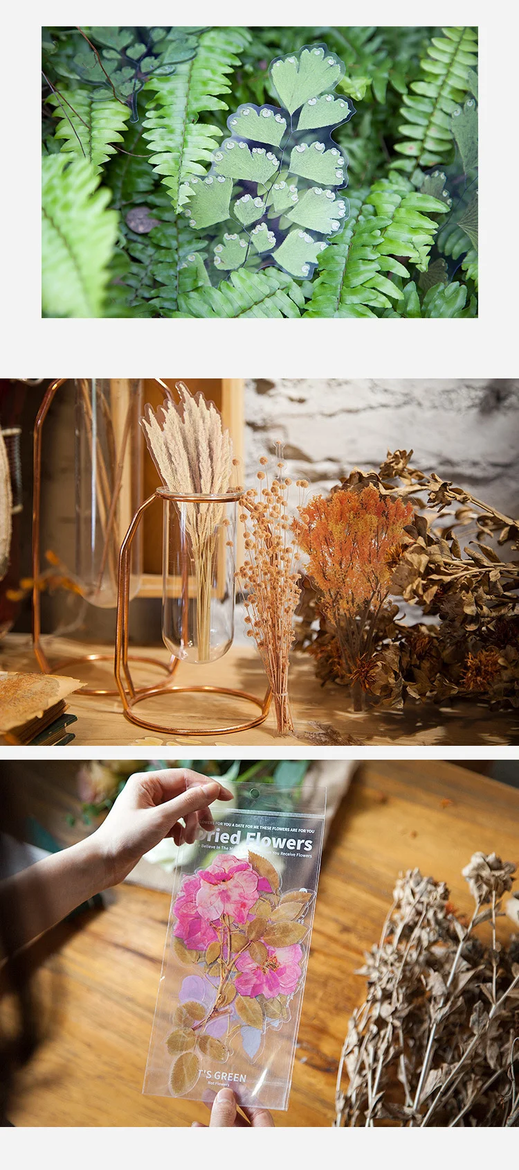 15385915047_82123617