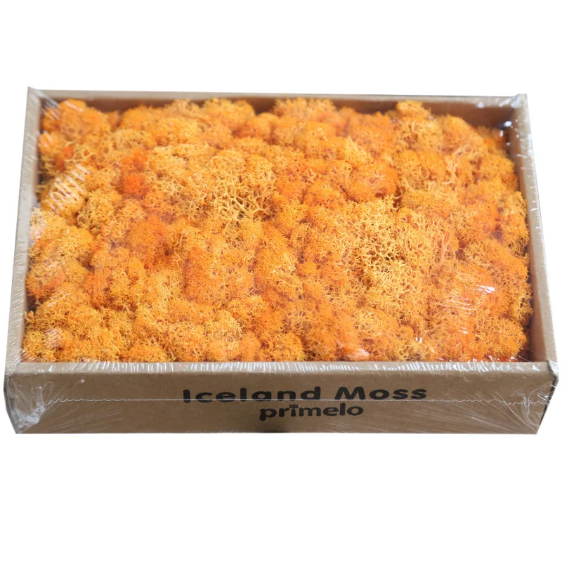 

Eternal Dried Moss Grass Artificial Everlasting Moss Garden Home Decor DIY Preserved Flower Material Micro Landscape Accessories