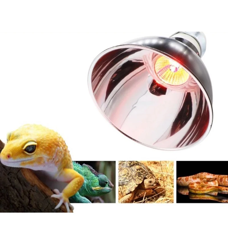 lizard light holder