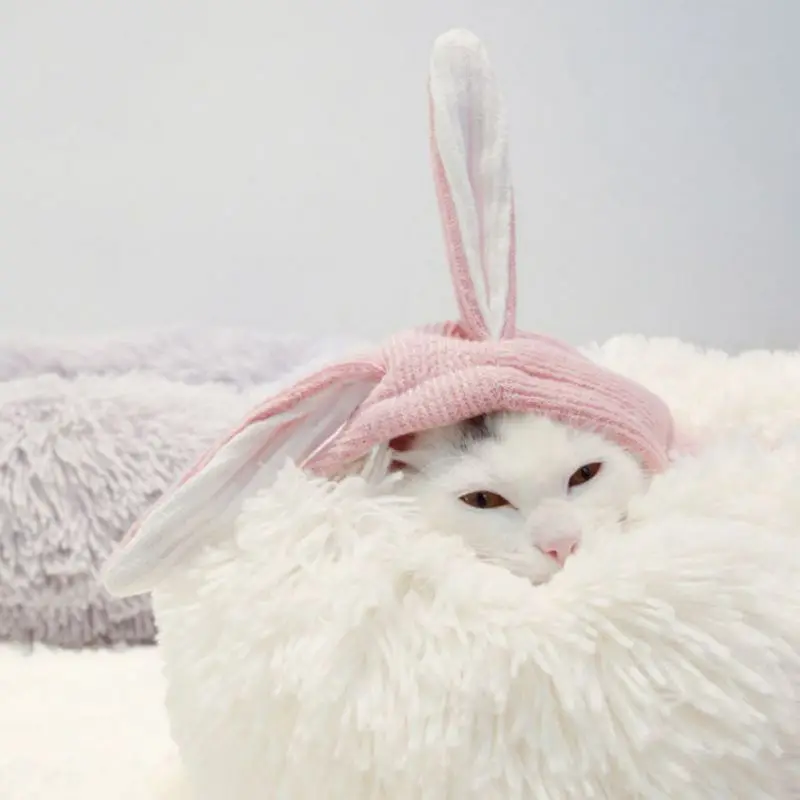 

New Cute French Bulldog Hooded Coat Winter Coat Clothes Cat Jacket Pet Jumpsuit for Dogs Little Rabbit Ears Cat Shape Clothes