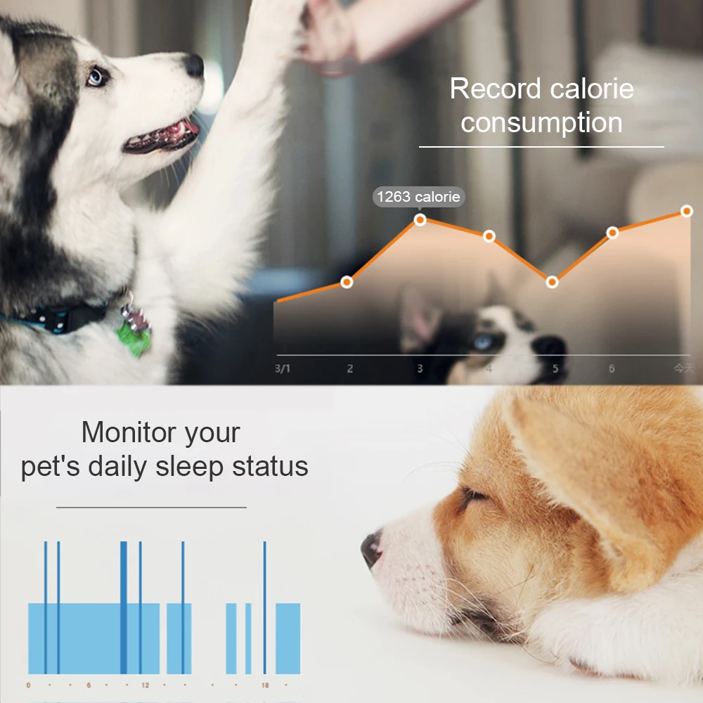 Трекер для домашних животных умный трекер для домашних животных и монитор активности для собак домашних животных Поддержка iOS 7. 0 Android 4,3