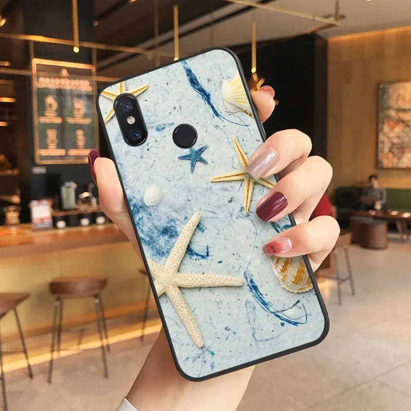 beach starfish blue sky