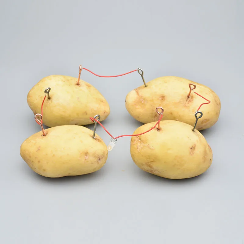 

DIY Science Experiment Small Production Equipment Science Experiment Experimental Students Fruit Physical Toy Fruit And Vegetabl