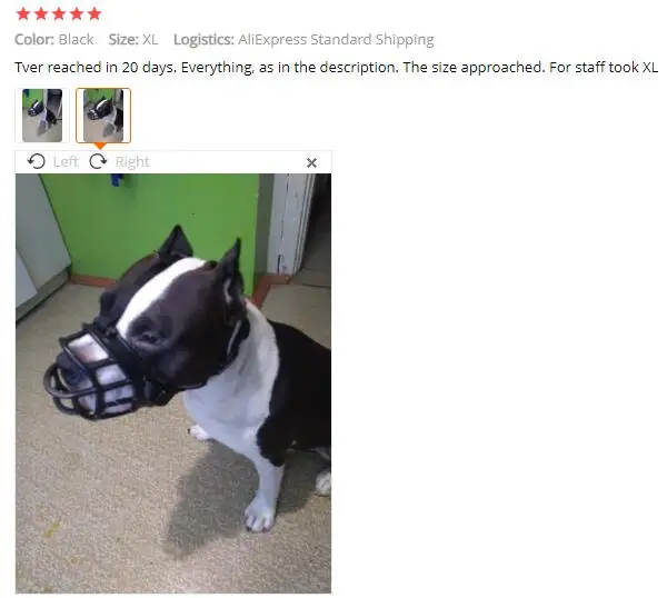 QQ截图20200216174411