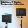 LED Video Lights Conference Photography Lighting Selfie Light Photo Studio Lamp With Tripod for Shoot Live Streaming TikTok Zoom 3