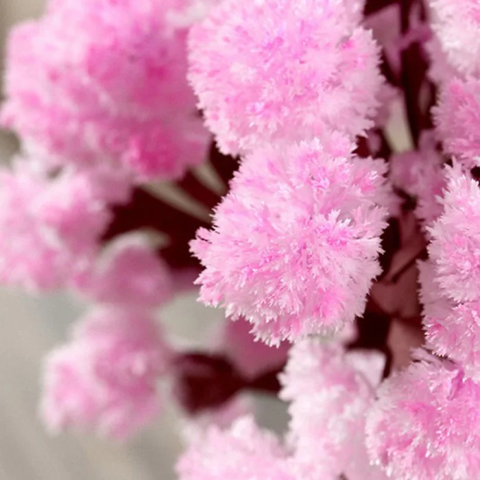 Волшебное растущее дерево бумага Сакура Хрустальные Деревья настольные вишневый цвет игрушки TP899