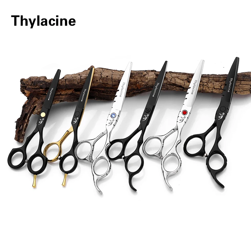 

Dylacine 5.5inch Professional Styling Tool Cutting Thinning Hairdressing Scissors Japan 4cr Stainless Steel Salon Barber
