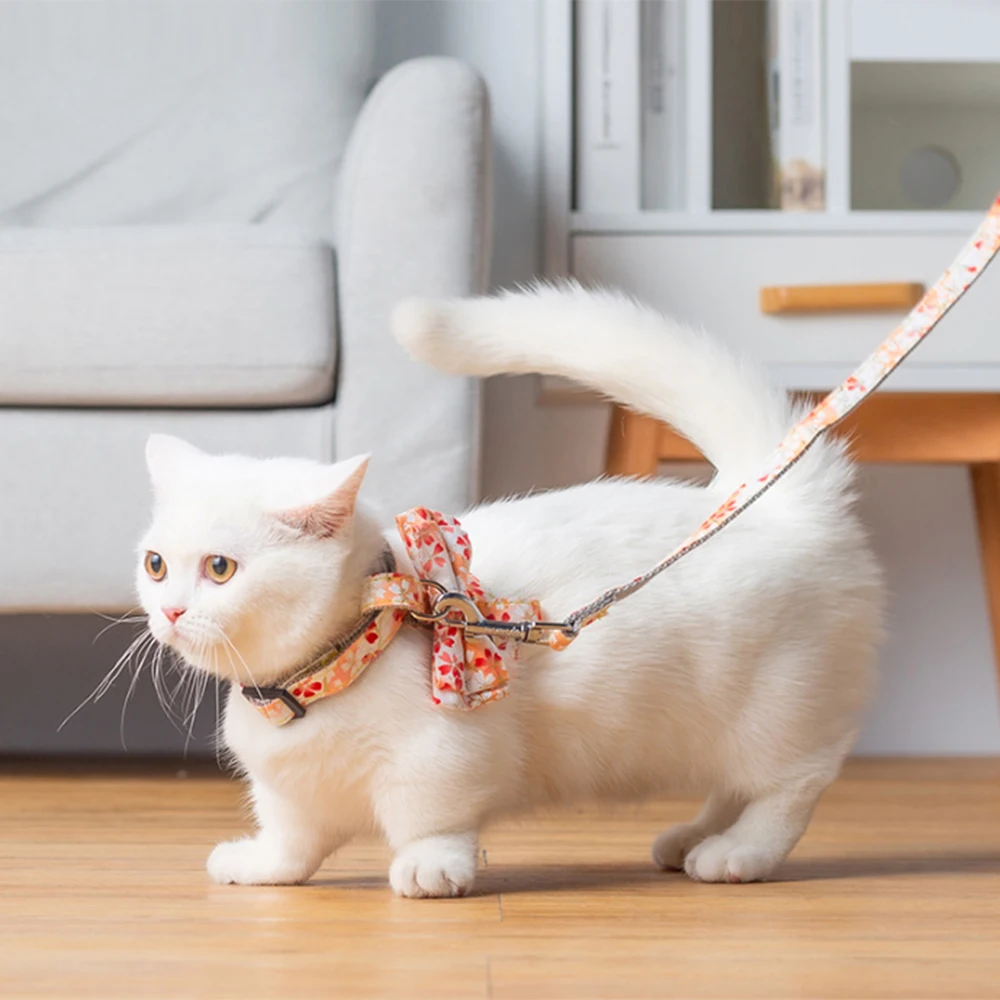Adjustable Pet Cat Collar Leads Leash Cat Butterfly Leash Lead Harnesses Belt Traction Rope Pet Supplies Adjustable Pet Cat Collar Leads Leash Cat Butterfly Leash Lead Harnesses Belt Traction Rope Pet Supplies