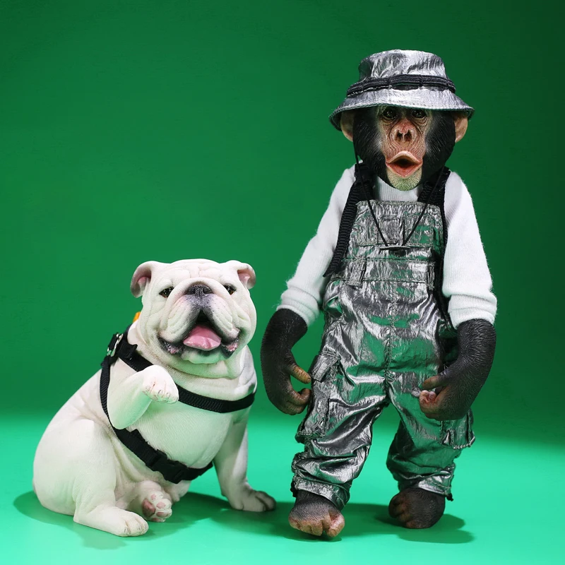 

Mr.Z 7" Pocket Baby Pang Chimpanzee Jimmy Bulldog Dog Figure Animal Model Bjd Toy Decor Ornaments Children Adults Kids Xmas Gift