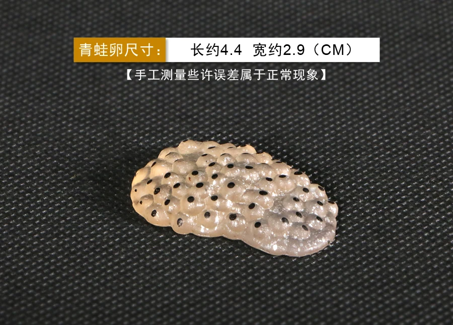 青蛙2