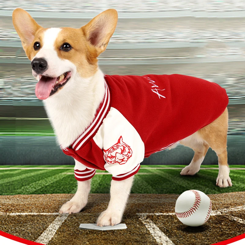 red sox dog gear