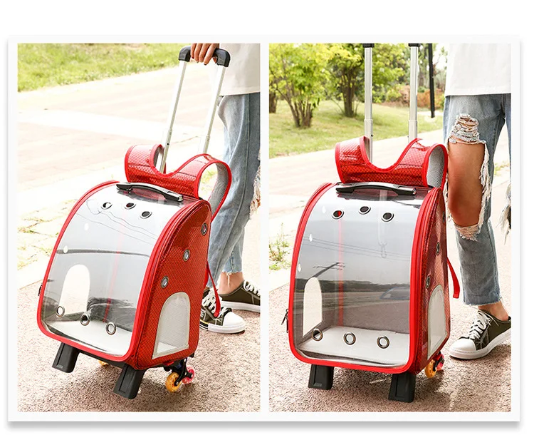 HTB1UK9PbBKw3KVjSZFOq6yrDVXaD