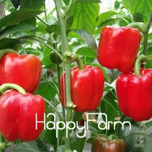 100 шт./пакет красный бонсай из растения сладкого перца огородом, высокий уровень почкования быстрый рост, S07NNF