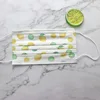 Children Watermelon Print Mouth Mask Kids Disposable 3 Layer Meltblow Cloth Dustproof Breathable Cherry Fruit Face Mask 5